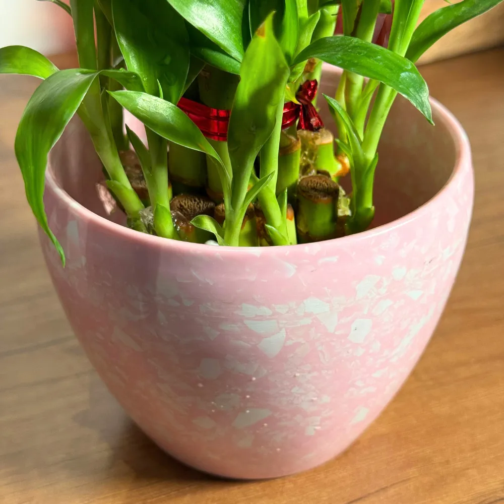 product-gallery