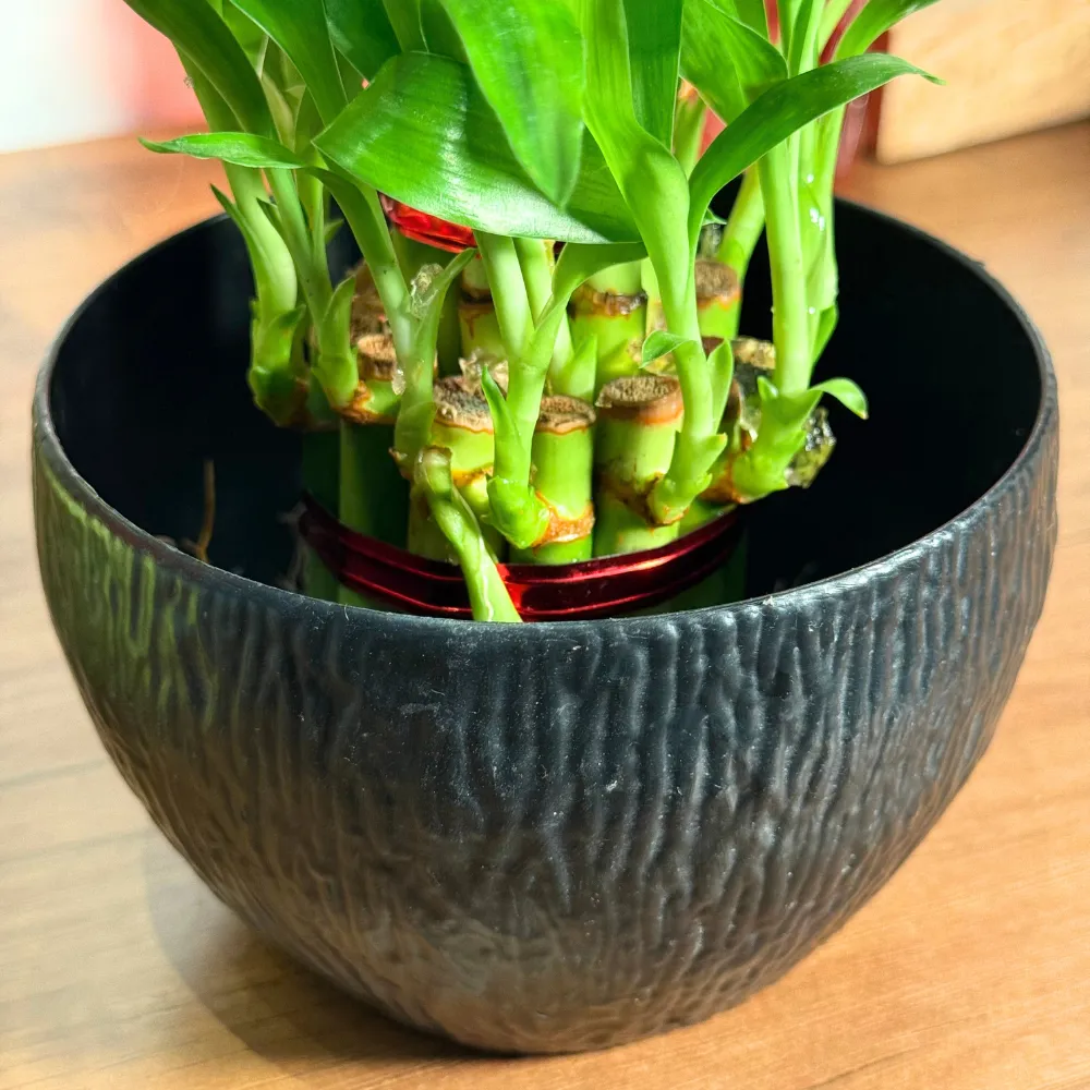 product-gallery