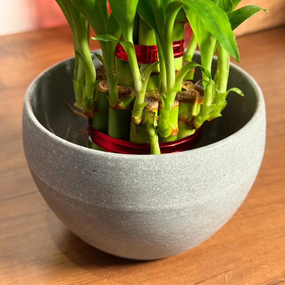 product-gallery