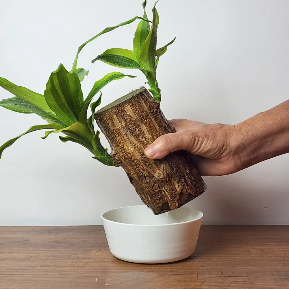 product-gallery