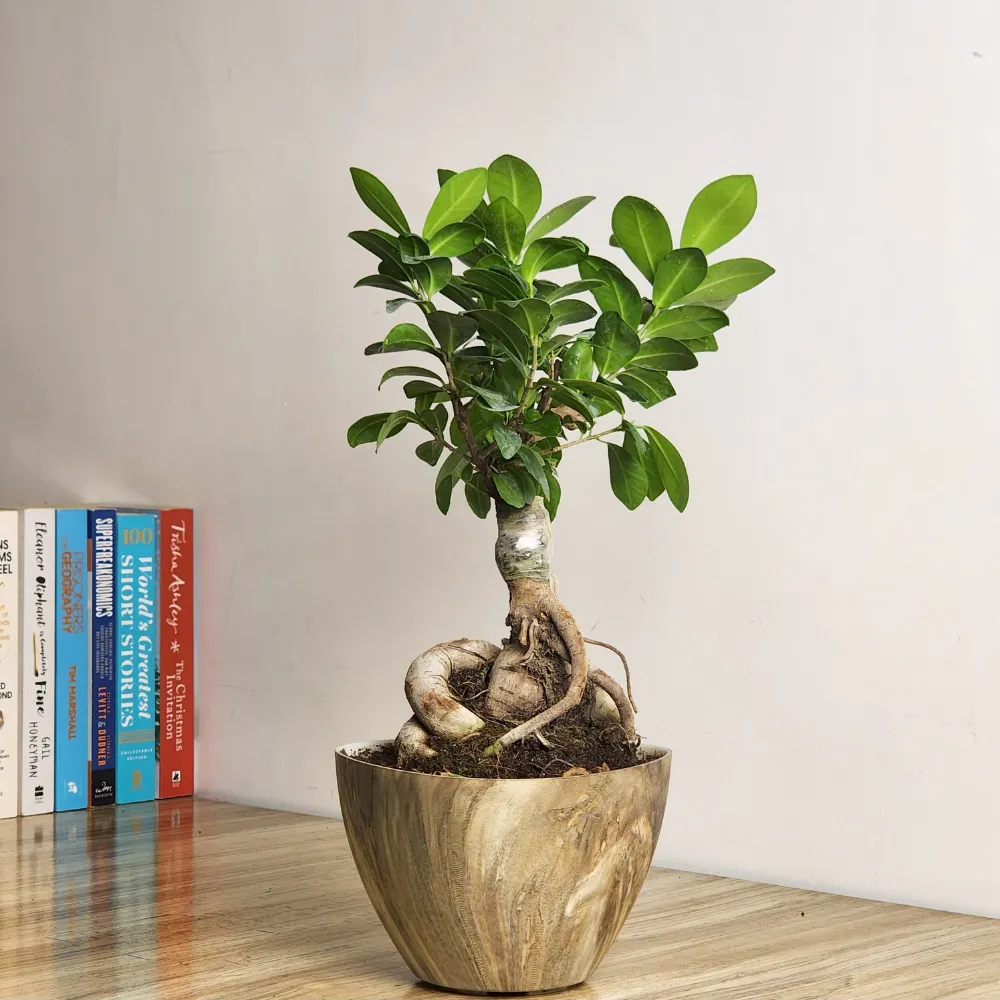 product-gallery