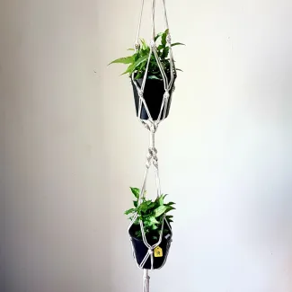 Two In One Macrame Plant Hanger (without Plant And Pot)