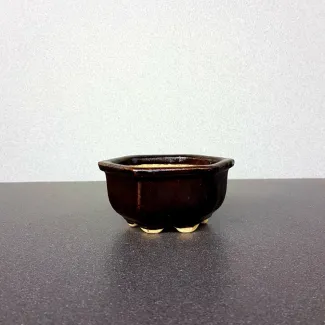 Hexa Shaped Bonsai Ceramic Pot