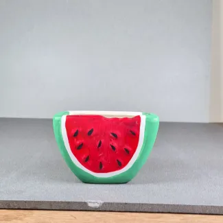 Watermelon Design Planter