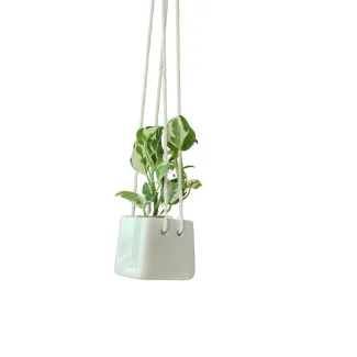 Square-shaped Ceramic Hanging Pot