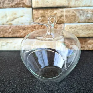Apple Shaped Glass Terrarium