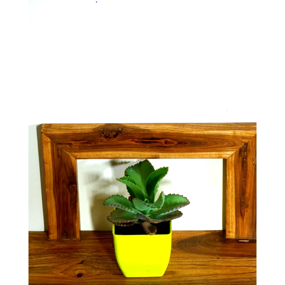 product-gallery