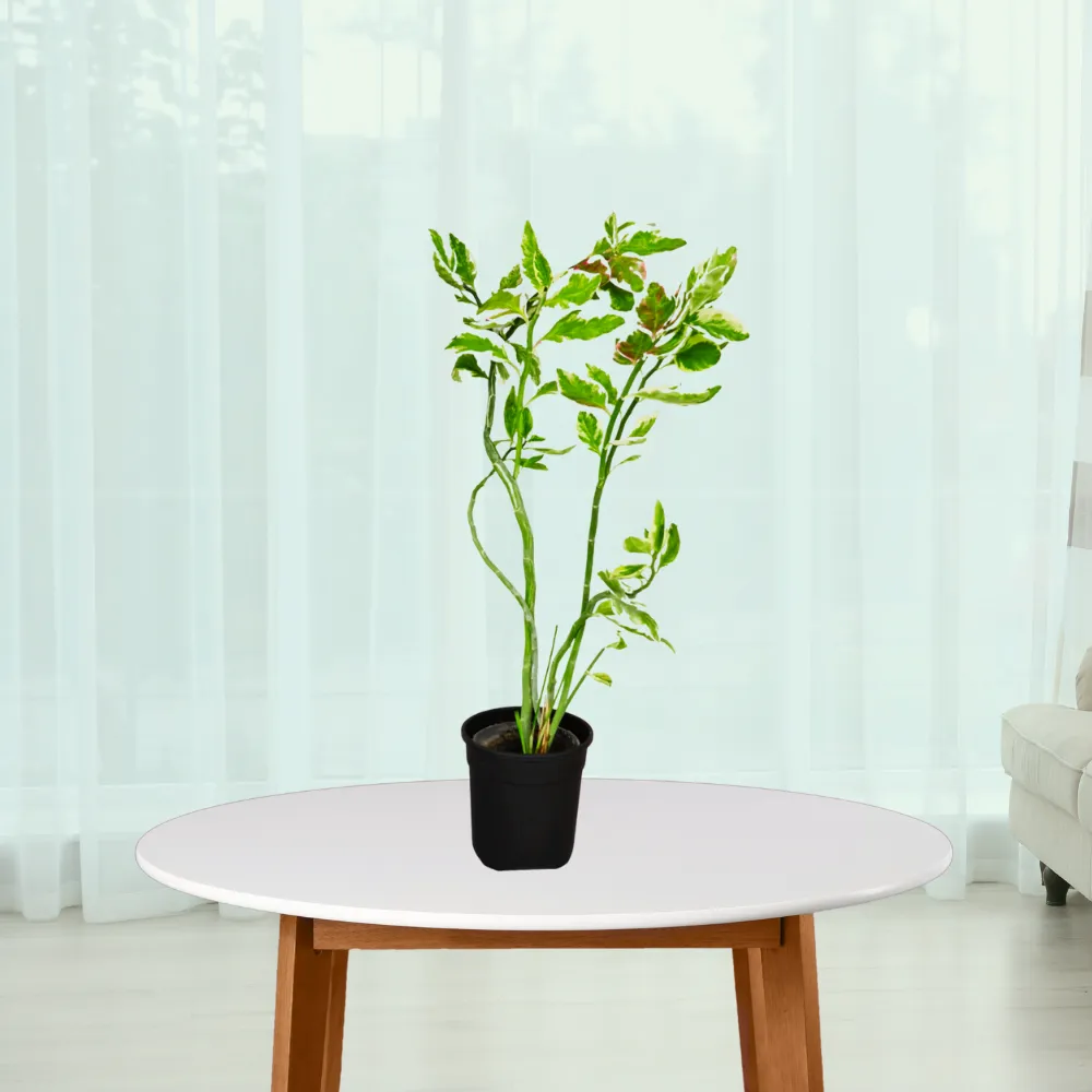 product-gallery
