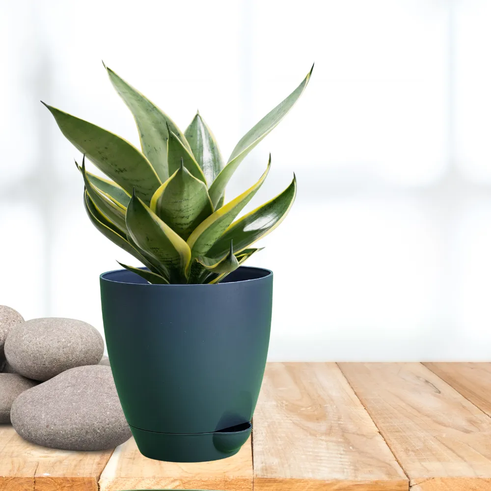 product-gallery