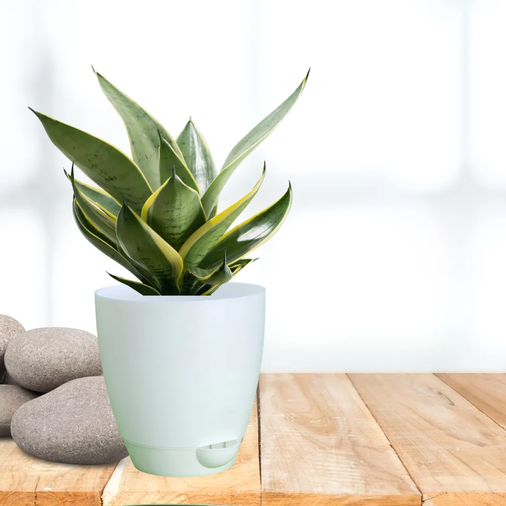 product-gallery