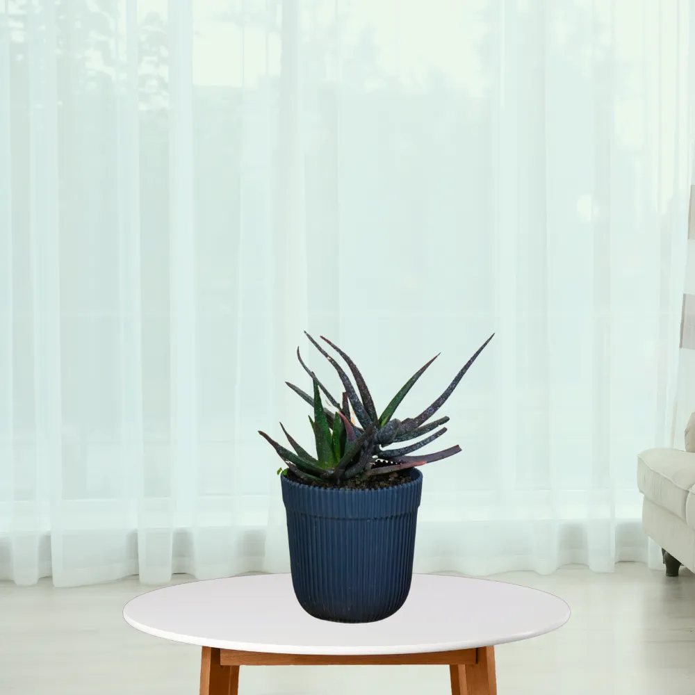product-gallery