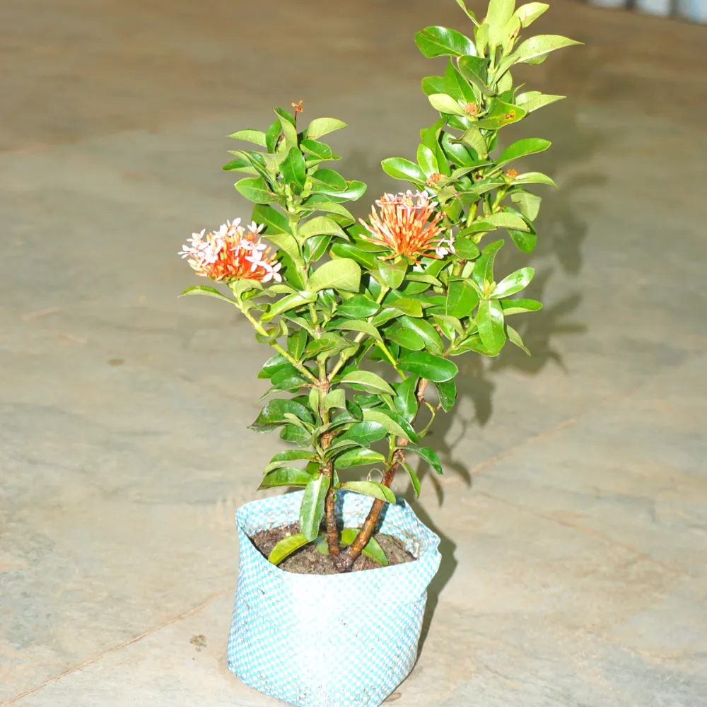 product-gallery
