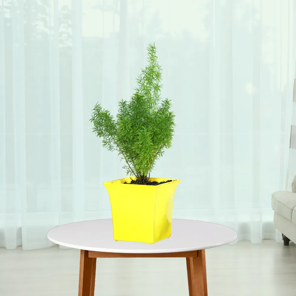 product-gallery
