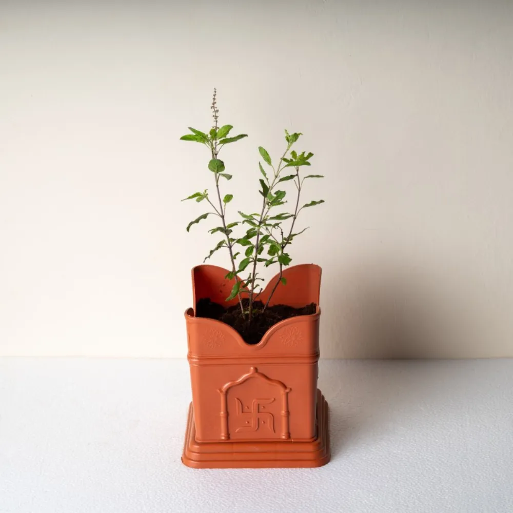 product-gallery