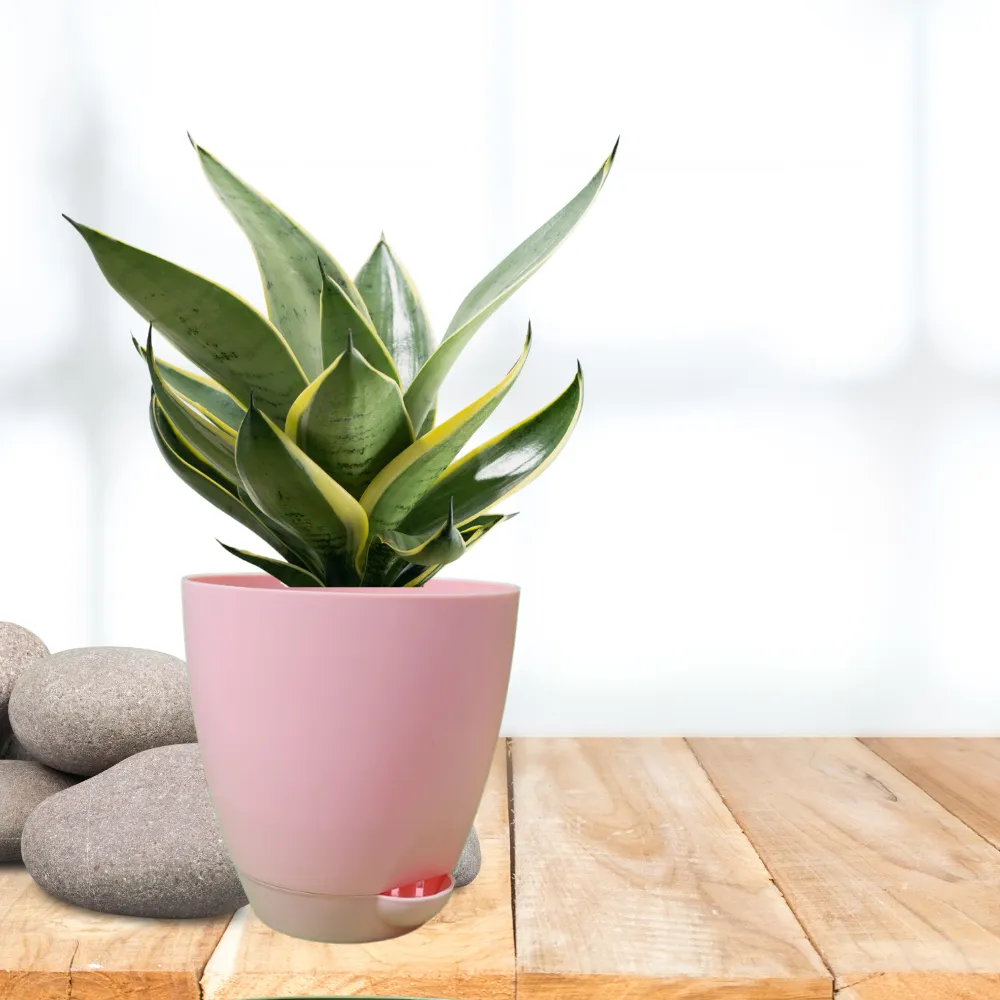 product-gallery