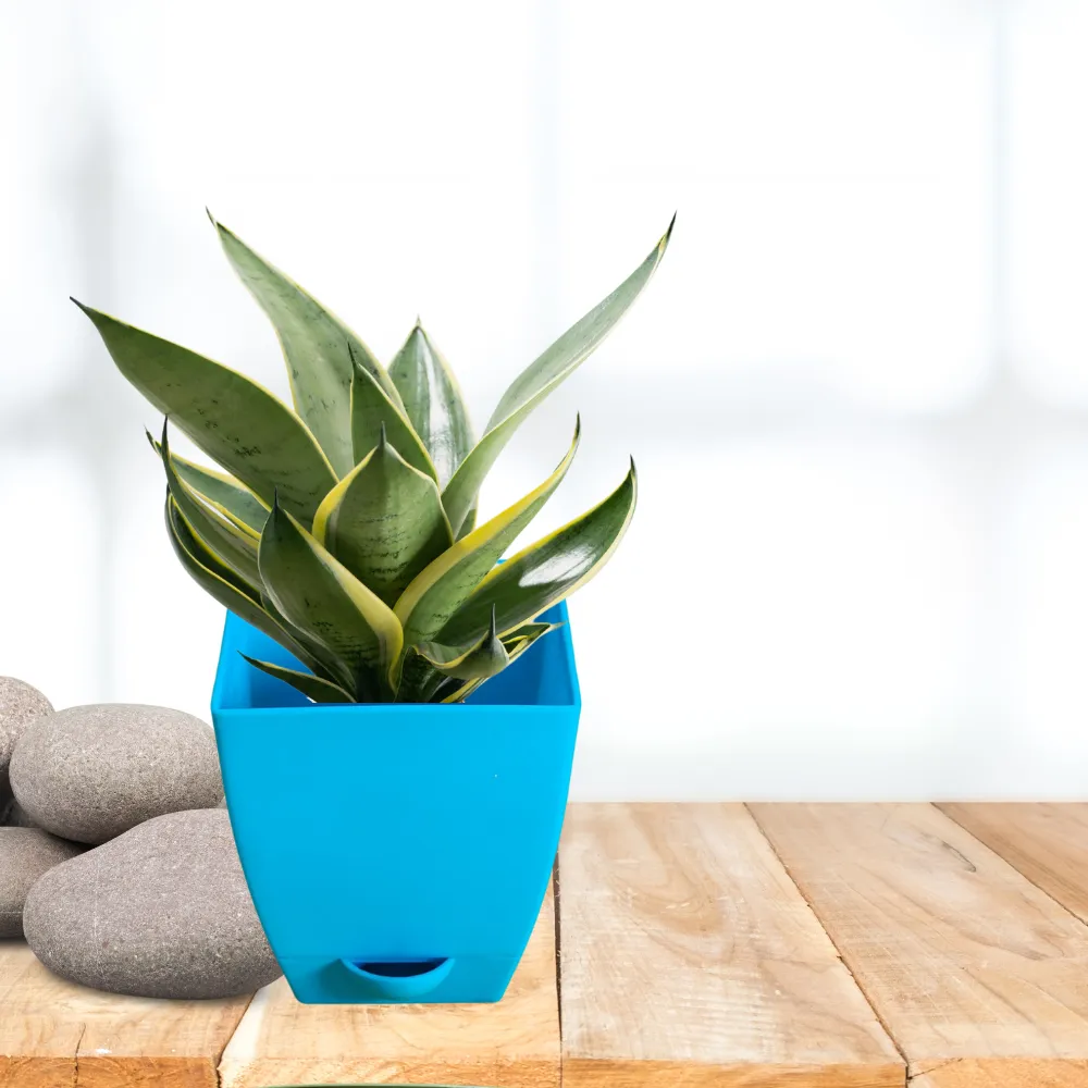product-gallery
