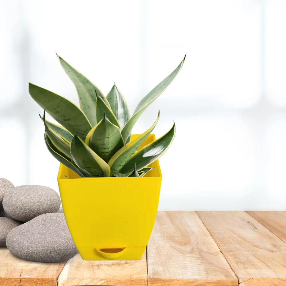 product-gallery