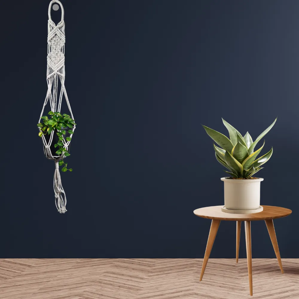 product-gallery