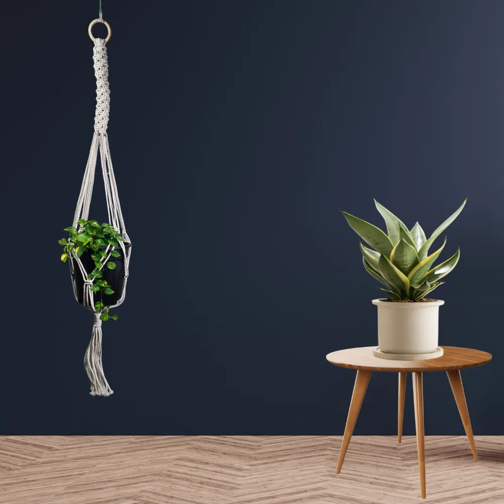 product-gallery