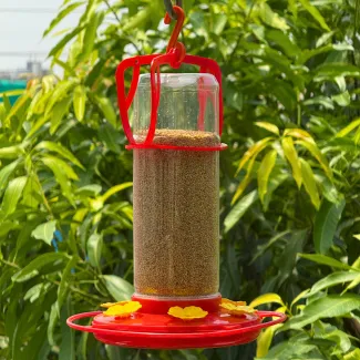 Humming Bird Food Feeder