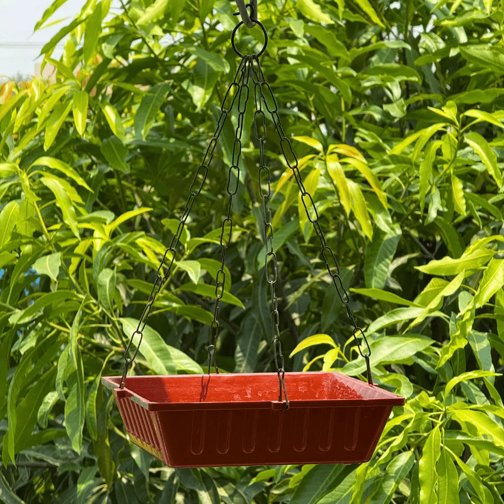 product-gallery