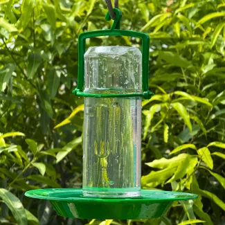 Medium Size Water Feeder