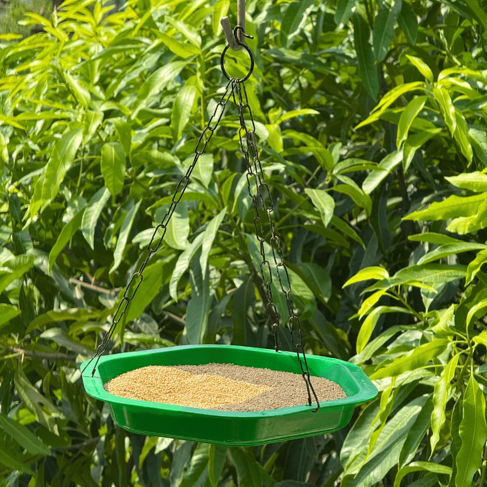 product-gallery