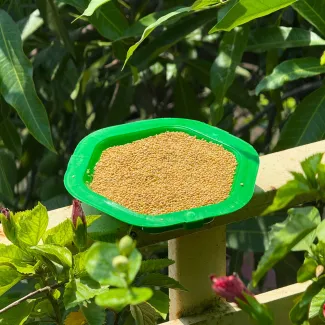 Plate Shaped Food Feeder-small Size