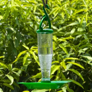 Nano Two-in-one Water Feeder