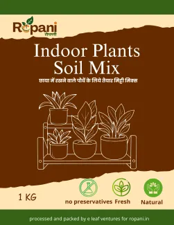 Ropani Indoor Plant Soil Mix