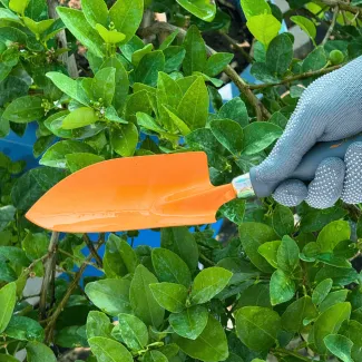Trowel (orange)