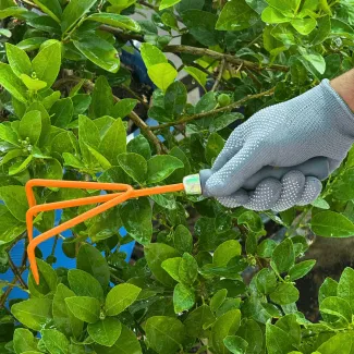 Hand Cultivator