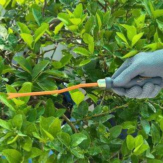 Weeder