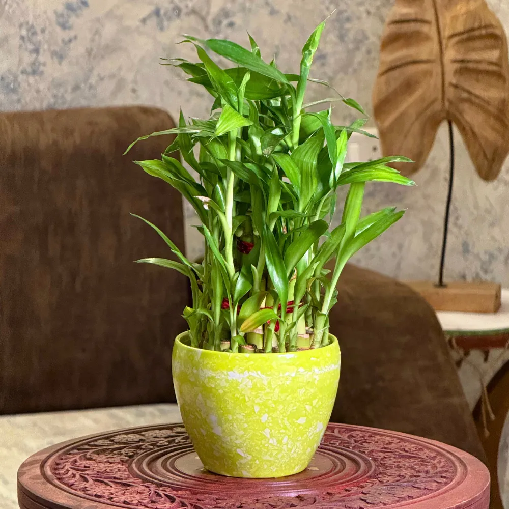 product-gallery