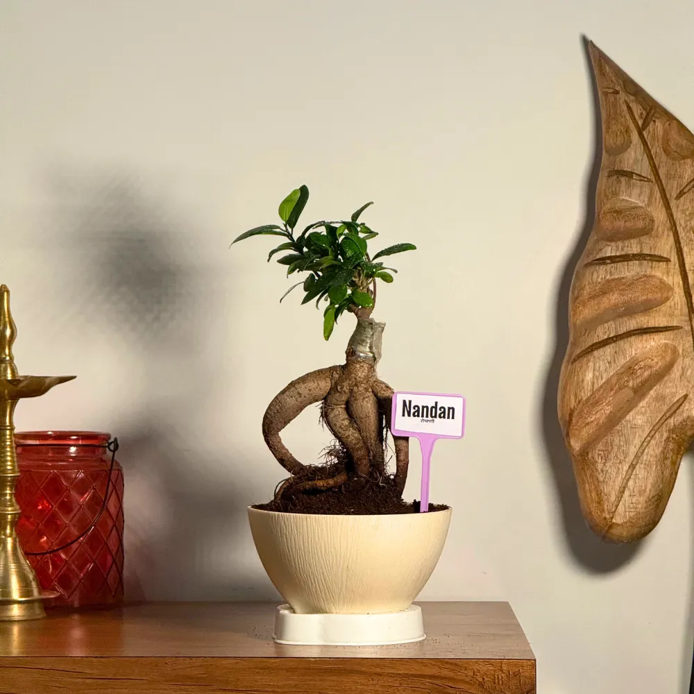 product-gallery