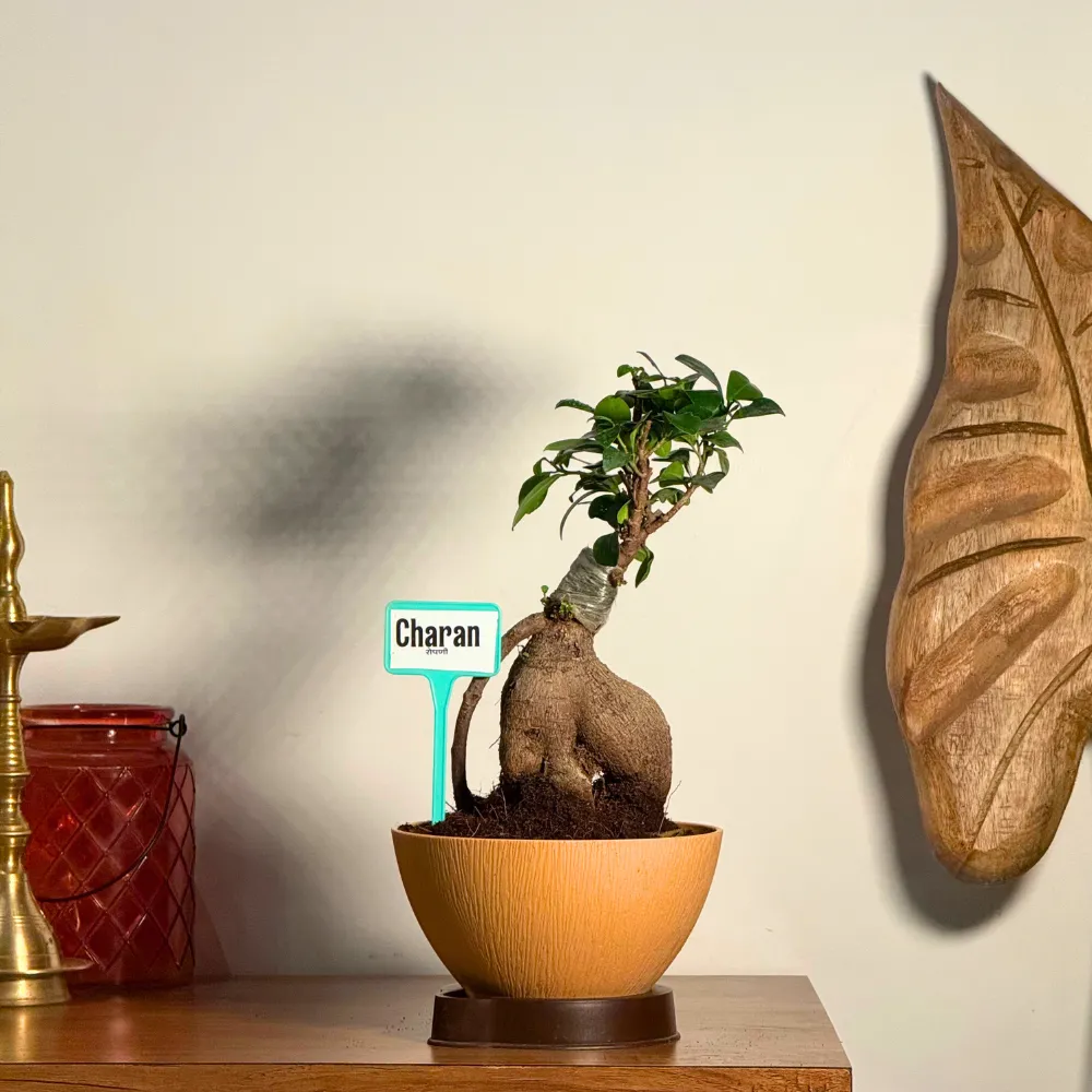 product-gallery