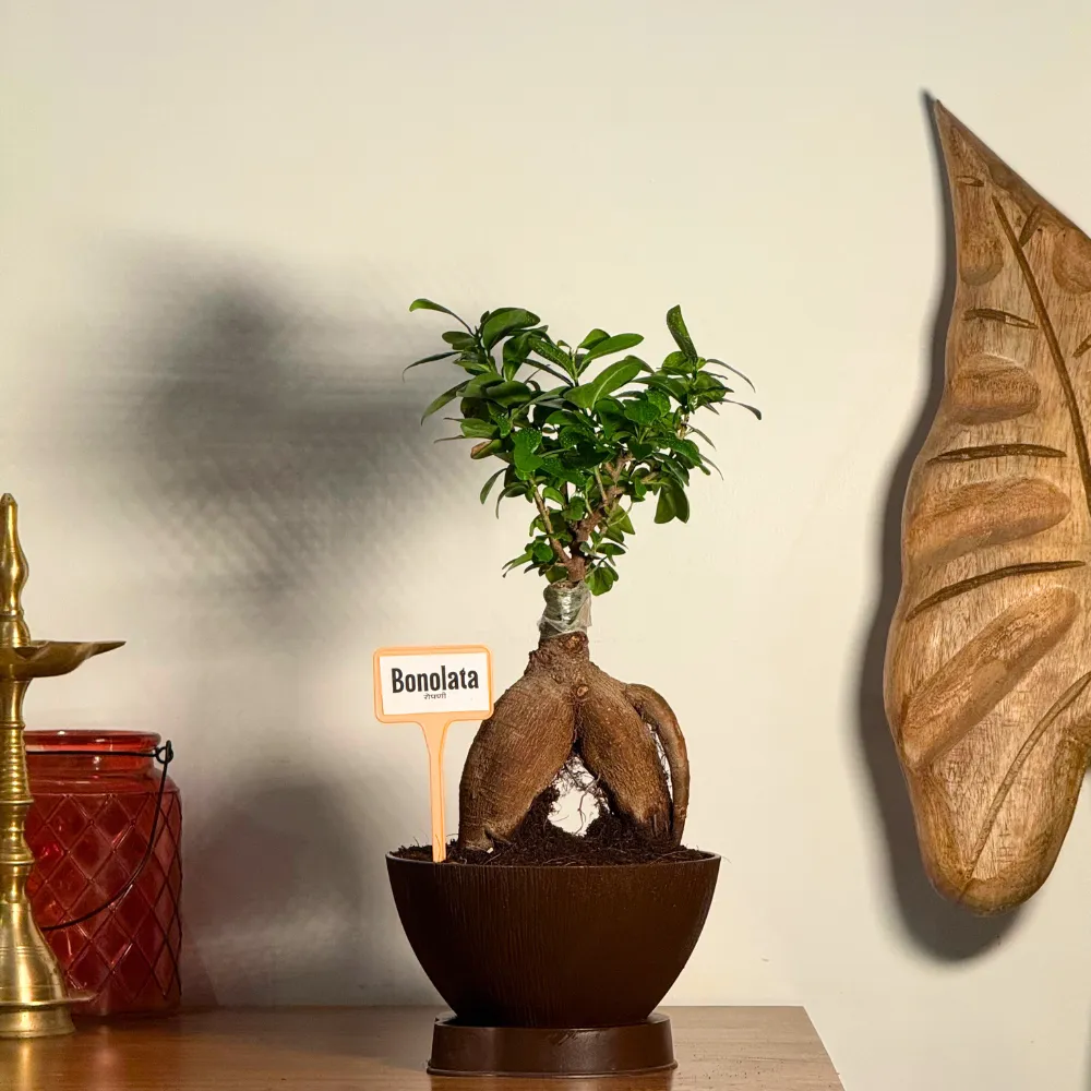 product-gallery