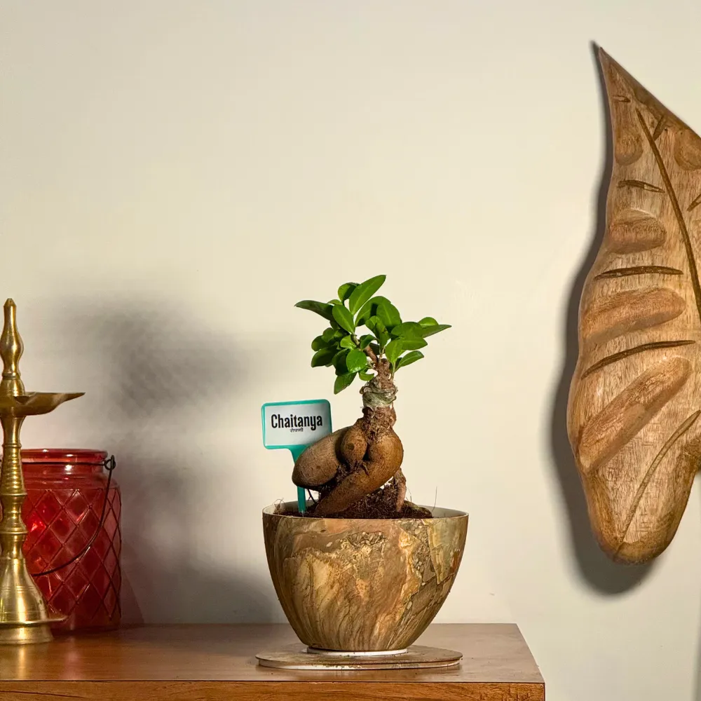 product-gallery