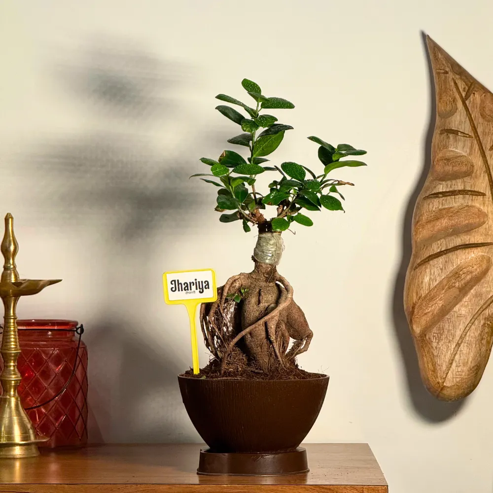 product-gallery